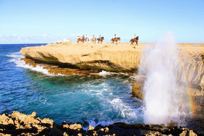 Aruba's Northern Coast Horseback Adventure - The Experience on the Ground: Horses, Guides, and Safety