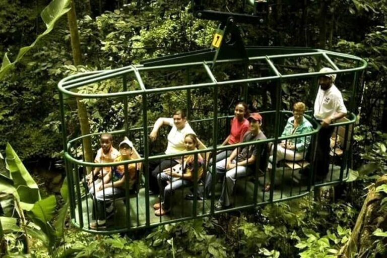 Babonneau/Castries: Rainforest Zip Line, Tram, and Hike Tour - What Makes This Tour Stand Out