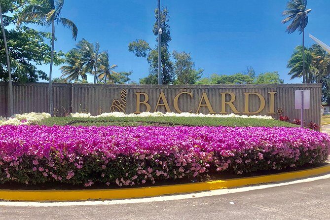 Bacardi Rum Distillery and Old San Juan Tour - Who Should Consider This Tour?
