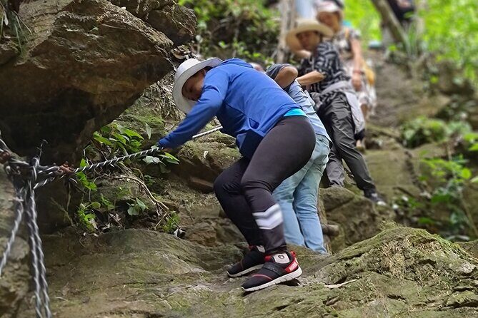 Bach Ma National Park trekking deluxe daily tour from Hue - Who Will Love This Experience