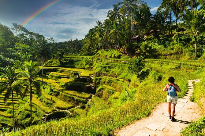 Bali Cultural Experience - The Value of This Experience