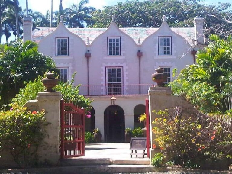 Barbados: 5.5-Hour Island Tour Plantation, Lunch and Drinks - Transportation and Group Dynamics