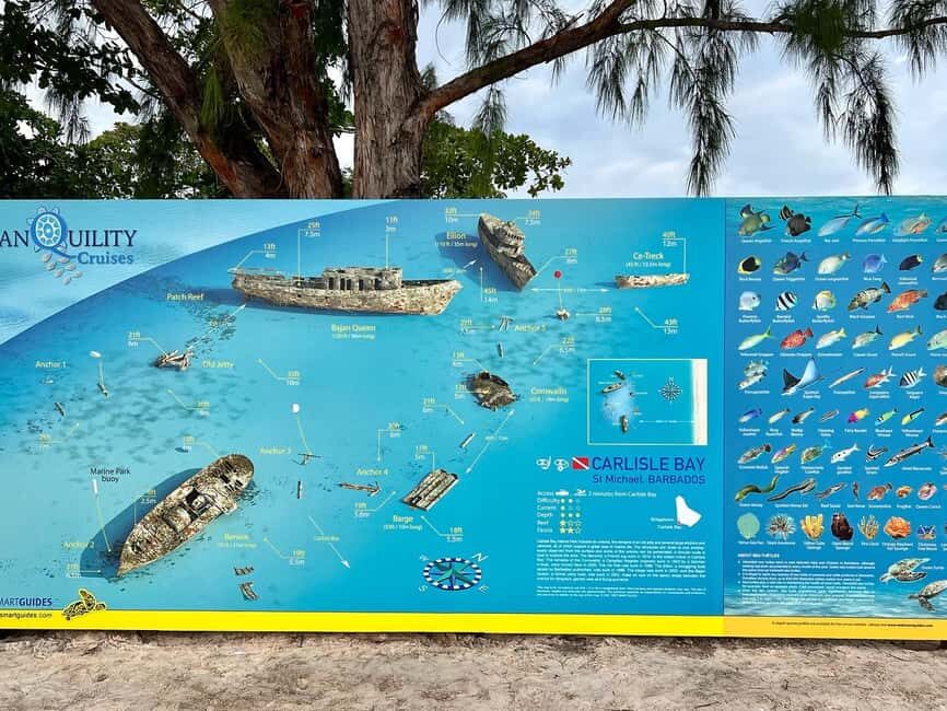 Barbados: Carlisle Bay Beach Day and Turtle Swim Experience - Authentic Experiences and Final Thoughts