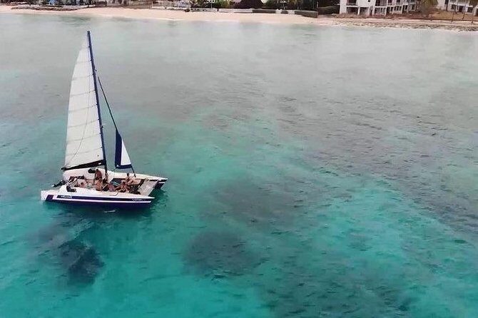 Barbados Catamaran Snorkel Cruise with Lunch and Open Bar - Who Will Enjoy This Tour?