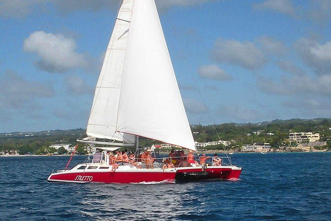 Barbados Catamaran Turtle Snorkel with Open Bar - An In-Depth Look at the Tour Experience