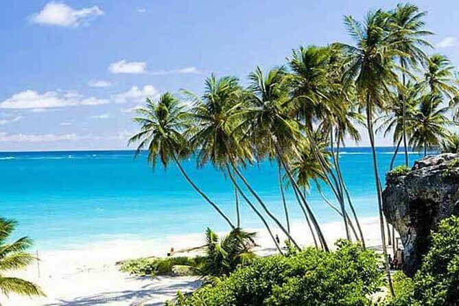 Barbados Full-day Coast to Coast Tour - The Sum Up