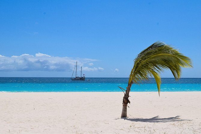 Barbados Island Highlights Half-Day Tour - An In-Depth Look at the Tour Experience