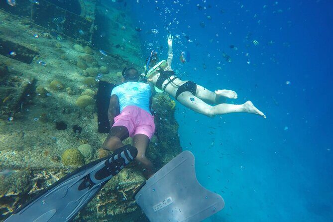 Barbados Island Tour, Monkey feeding & Swimming with the Turtles - The Value and Overall Experience