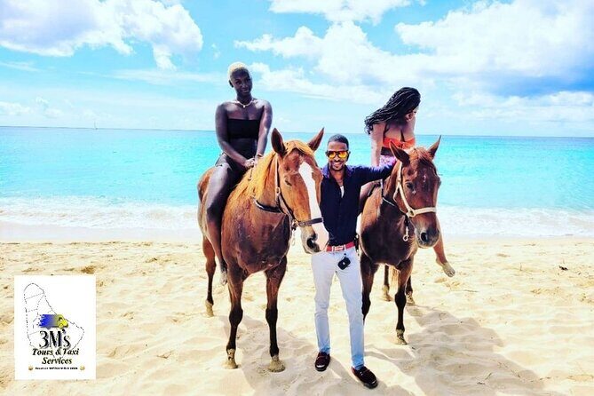 Barbados Private Customised Island Tours - The Reality Check: What Travelers Say