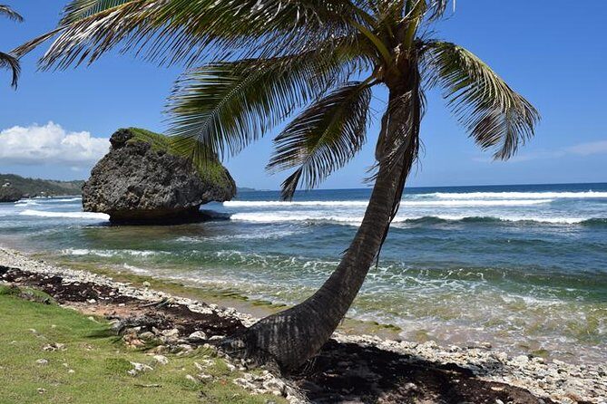 Barbados Shore Excursion Barbados Paradise Sightseeing Tour - Transport, Group Size, and Practicalities