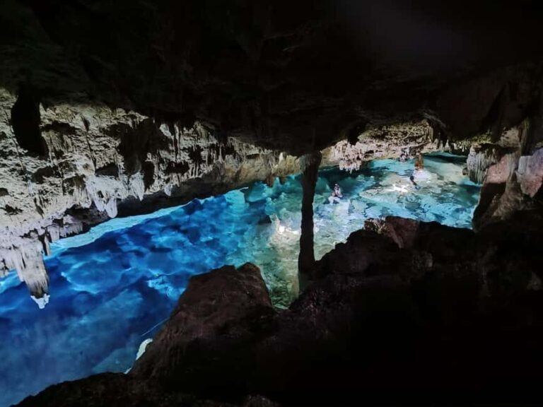 Bayahibe: National Park Jungle Walk & Snorkeling in Cenotes - Detailed Breakdown of the Itinerary