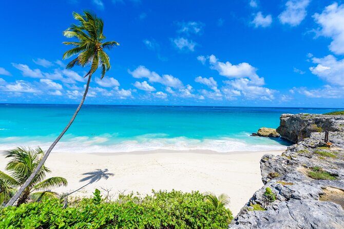 Beautiful Coastal Sightseeing Tour of Barbados - Who Should Book This Tour?