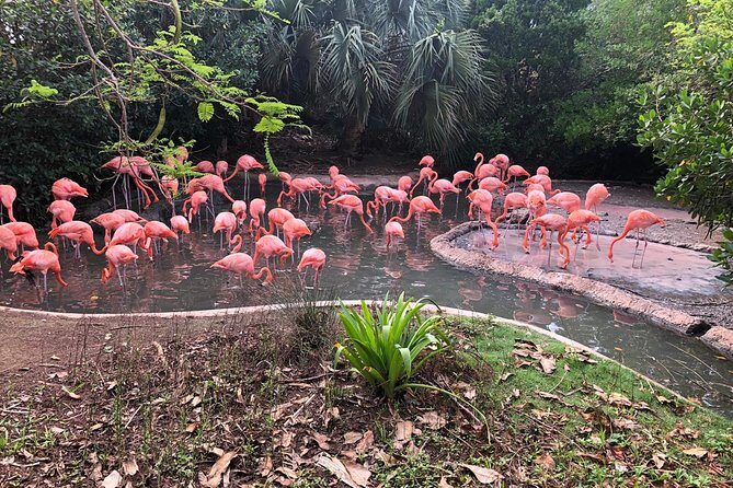 Bermuda Aquarium and Crystal Caves Admission - The Sum Up: Is This Tour Worth It?