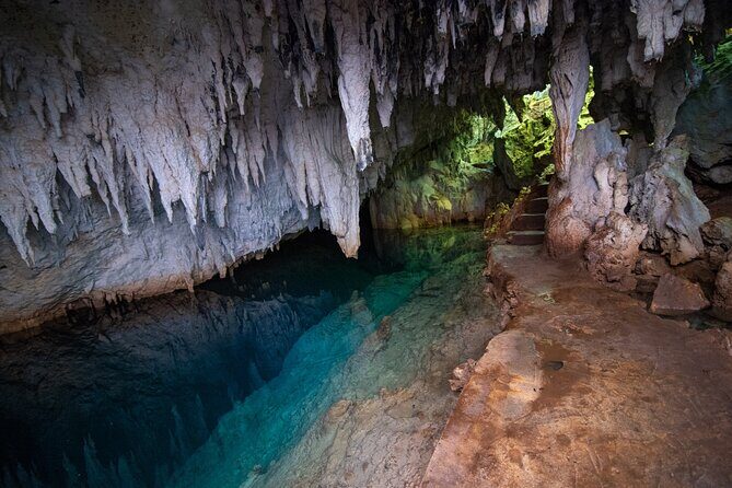 Bermuda Hidden Gems Summer Excursion - What Makes This Tour Special