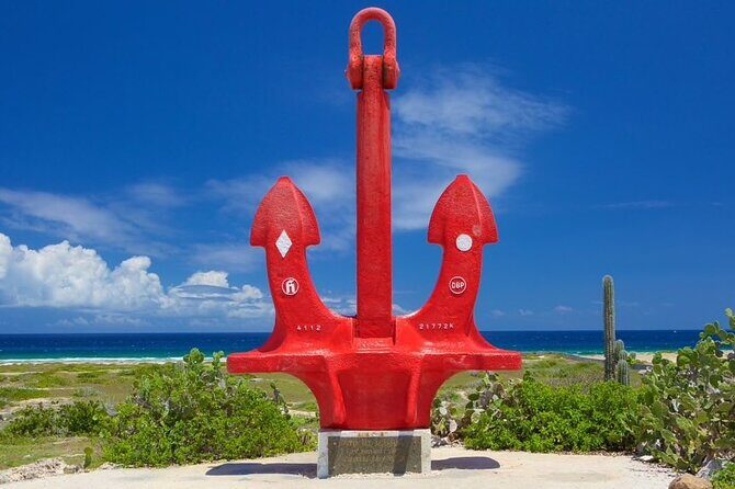 Best of Aruba by Bus - What the Tour Includes and Why It Matters