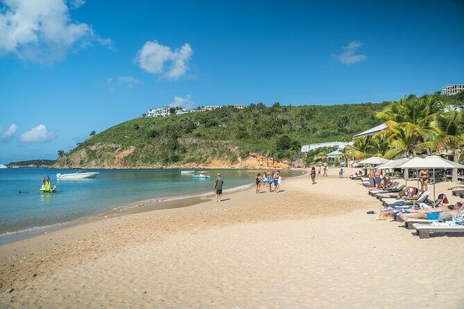 Billy Bones St. Maarten Getaway , Snorkeling with Turtles - What the Reviews Reveal