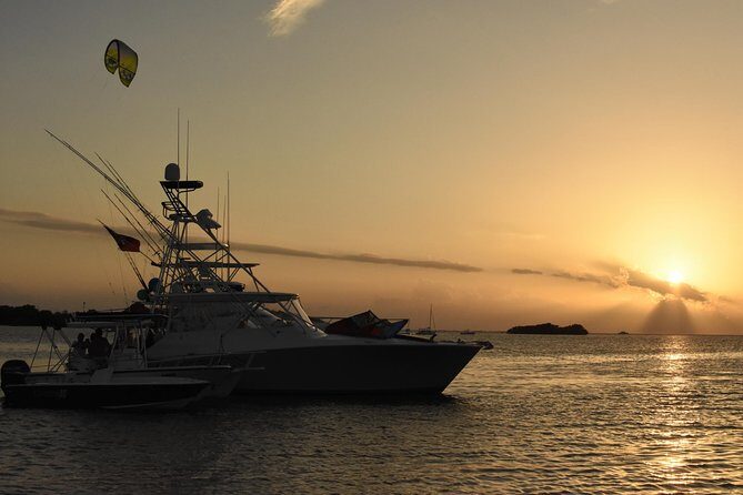 Bio Bay Magic and Rum Tasting Tour from San Juan - Key Points