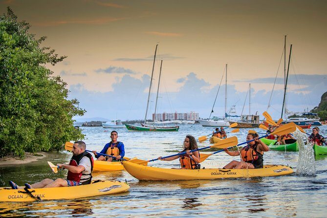 Bio Bay Night Kayak Tour with Transport from San Juan - The Itinerary in Detail