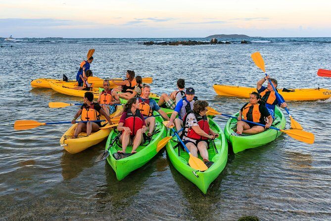 Bio Bay Night Kayaking with Transport from San Juan Area - The Sum Up: Who Will Love This Tour?