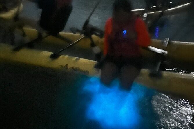 Bioluminescent Bay Chiliboats Waterbike Tour in La Parguera - Authenticity and Natural Beauty