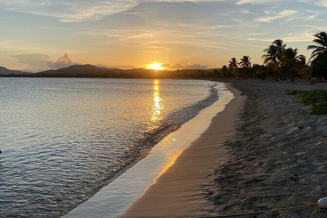 Bioluminescent Boat Tour in Mosquito Bay, Vieques - Who Will Love This Tour?