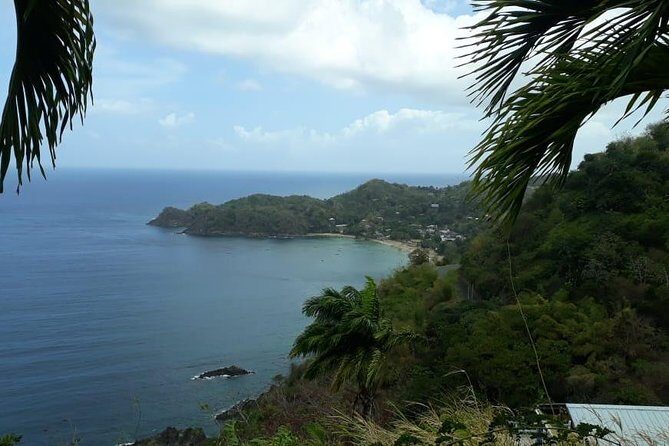 Birdwatching, Waterfall, Rainforest and Island Nature Tours - Waterfalls and Scenic Stops