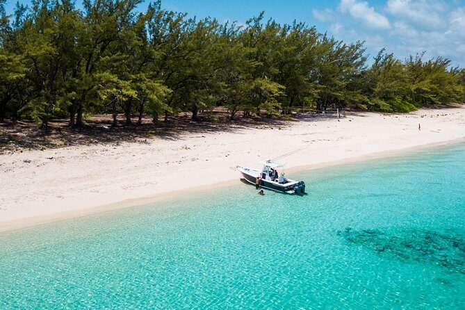 Bluefinn242 Swim with the Turtles in Nassau Bahamas - The Itinerary in Detail
