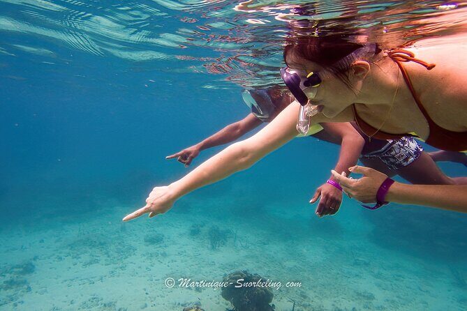 Boat Trip for Snorkeling Discovery of Corals - The Itinerary in Detail