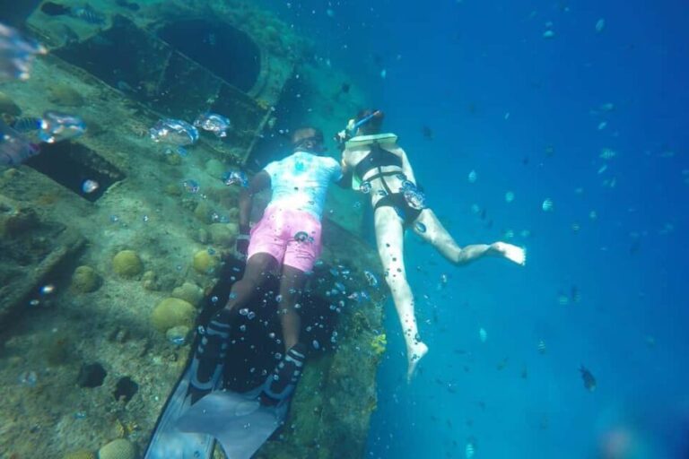 Bridgetown: Carlisle Bay Turtle and Shipwreck Boat Cruise - Why You Should Consider This Tour