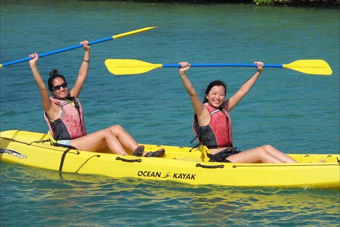 Cas Cay - Kayak Hike and Snorkel Adventure - Snorkeling in Mangrove Nurseries: A Brief Underwater Encounter