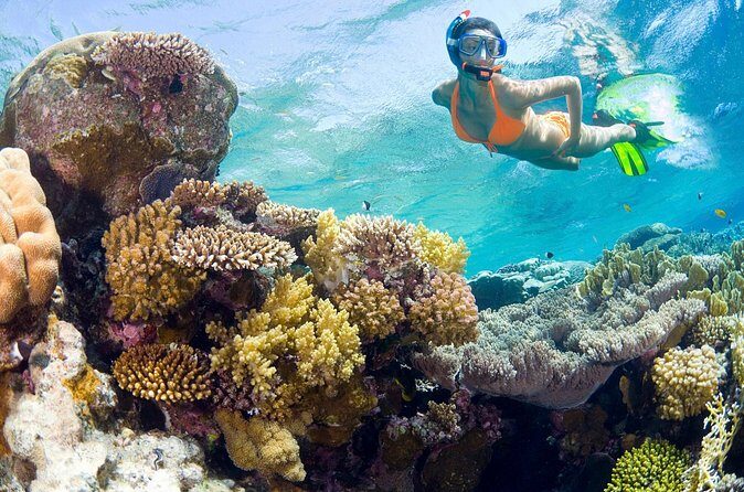 Catalina Island Snorkel Excursion from Punta Cana - Final Thoughts