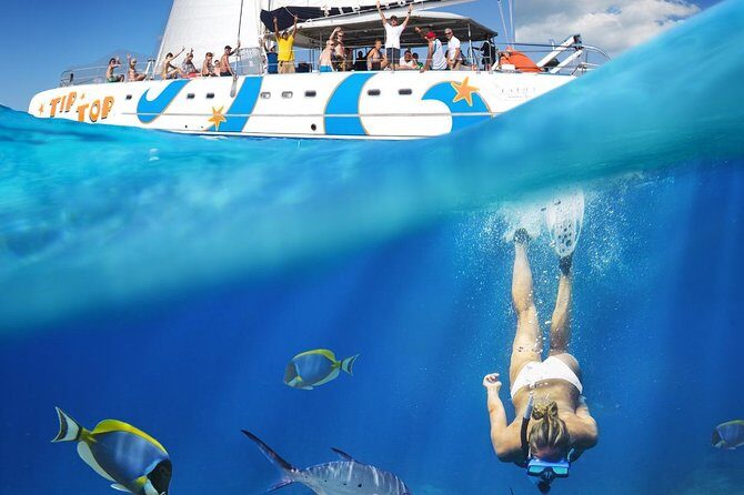 Catamaran Snorkeling All-Inclusive Day-Trip - Why This Tour Excels