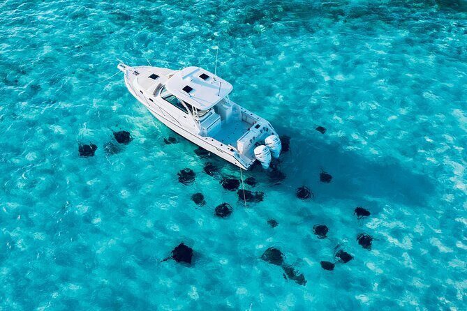 Cayman Private Luxury Charters - Stingray City, Snorkel, & More - An In-Depth Look at the Tour Experience