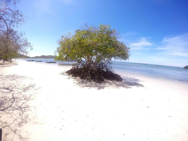 Cayo Arena: Paradise Island and Mangroves Tour - Transportation, Group Size, and Cost