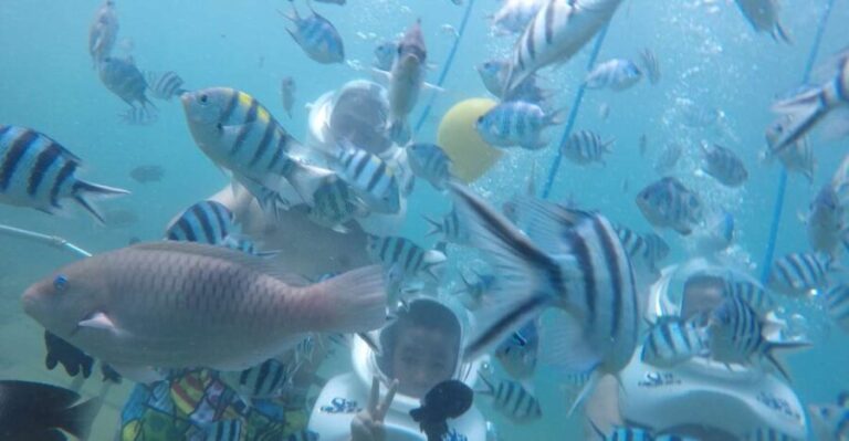 Cham Island: Underwater Walking & Snorkeling Tour - Who Will Find This Tour Worthwhile?
