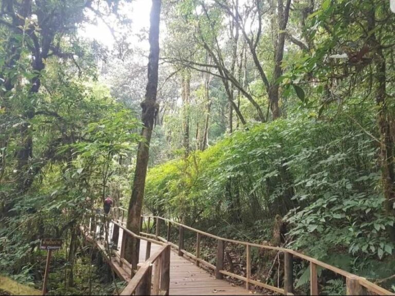 Chang Mai: Doi Inthanon Day Tour w/Waterfalls & Hilltribes - What Do Travelers Think?