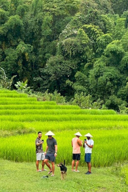 Chiang Mai: Doi Inthanon Park and Pha Dok Siew Trail Trek - Overall Value and Practical Tips