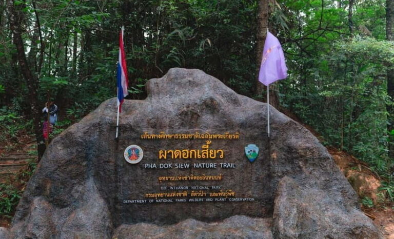 Chiang Mai: Doi Inthanon Trip with Pha Dok Siew Guided Trek - Who Should Consider This Tour?