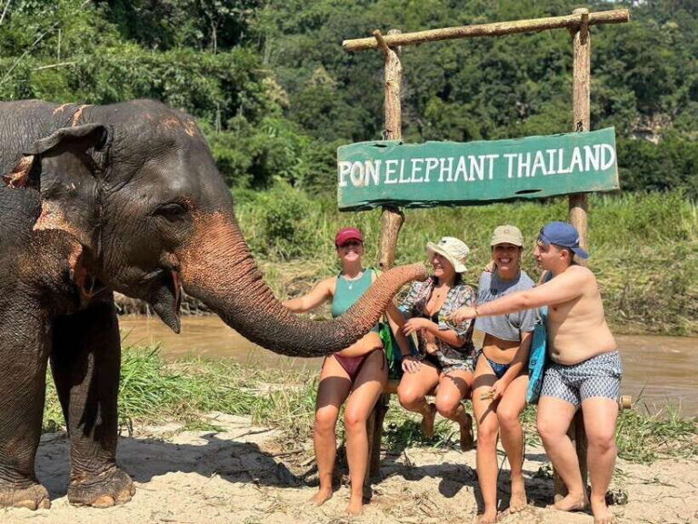 Chiang Mai: Elephant Sanctuary, Waterfall & Bamboo Rafting - The Food & Amenities