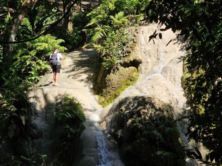 Chiang Mai: Sticky Waterfall Half-Day Tour & Hotel Transfers - The Experience: What You Can Expect