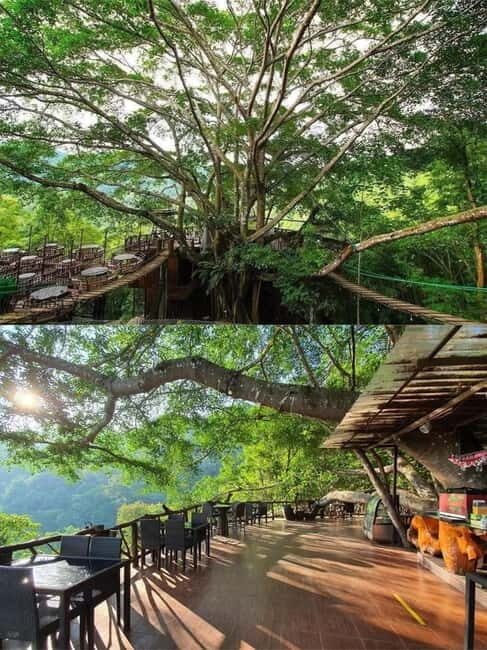 Chiang Mai: The Giant Café & Mae Kampong Village Day Trip - The Practicalities: What You Need to Know