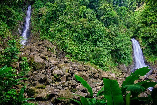 City Tour with Botanical Gardens, Trafalgar Falls & Morne Bruce - Transportation and Group Size