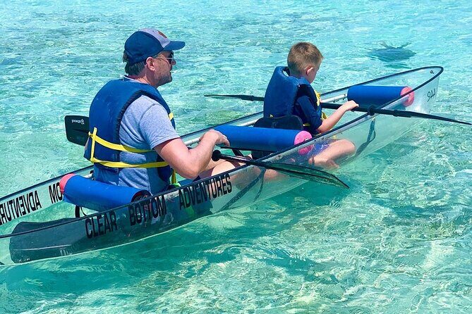 Clear Bottom Kayaks Mangrove Tour - Equipment and Comfort