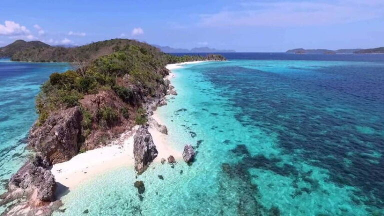 Coron: Coastal Cliffs, Beach & Malcapuya Island Hopping Tour - The Lunch: Local Seafood and Barbecue