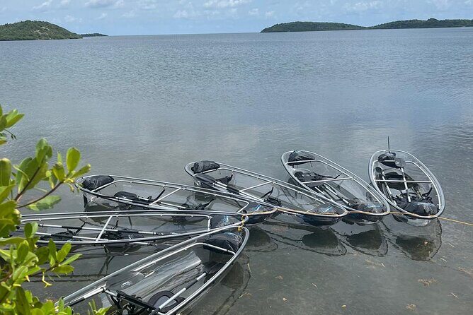 Crystal Kayak & Snorkel Eco Tour (with transfer) - Who Will Love This Tour?