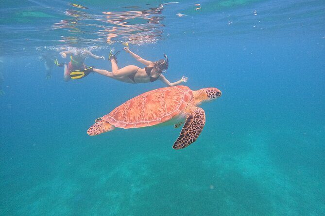 Culebra Swim with Turtles Adventure and Flamenco Beach by Ferry - What Travelers Love and What to Watch Out For