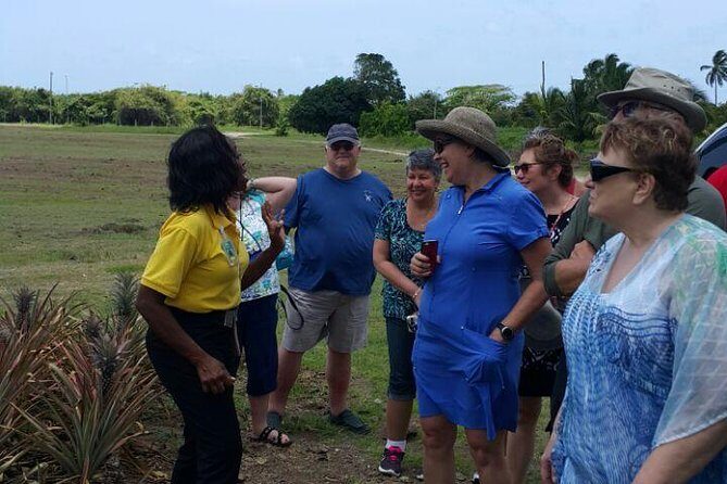 Cultural and Historical Home Tour in The Antiguan Experience - Transportation and Group Size