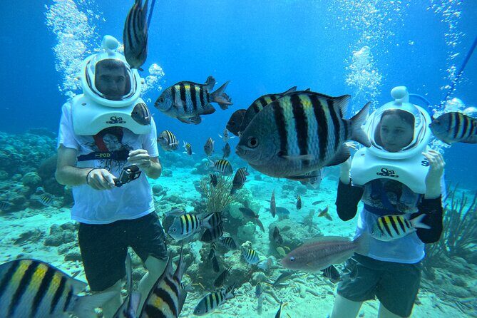Curacao Helmet Diving-Walk the Ocean Floor, No Swimming Required - Detailed Itinerary Breakdown
