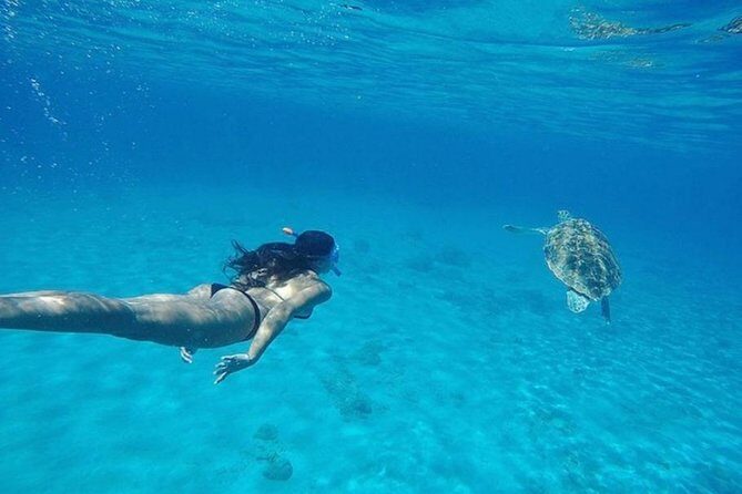 Curaçao Nature Lovers Tour - What Travelers Say
