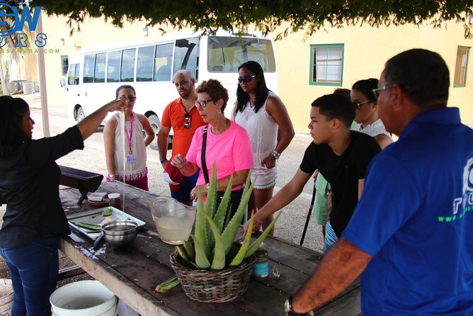 Customized Aruba Island Private Tour for All Ages - Final Thoughts: Is This Tour Worth It?